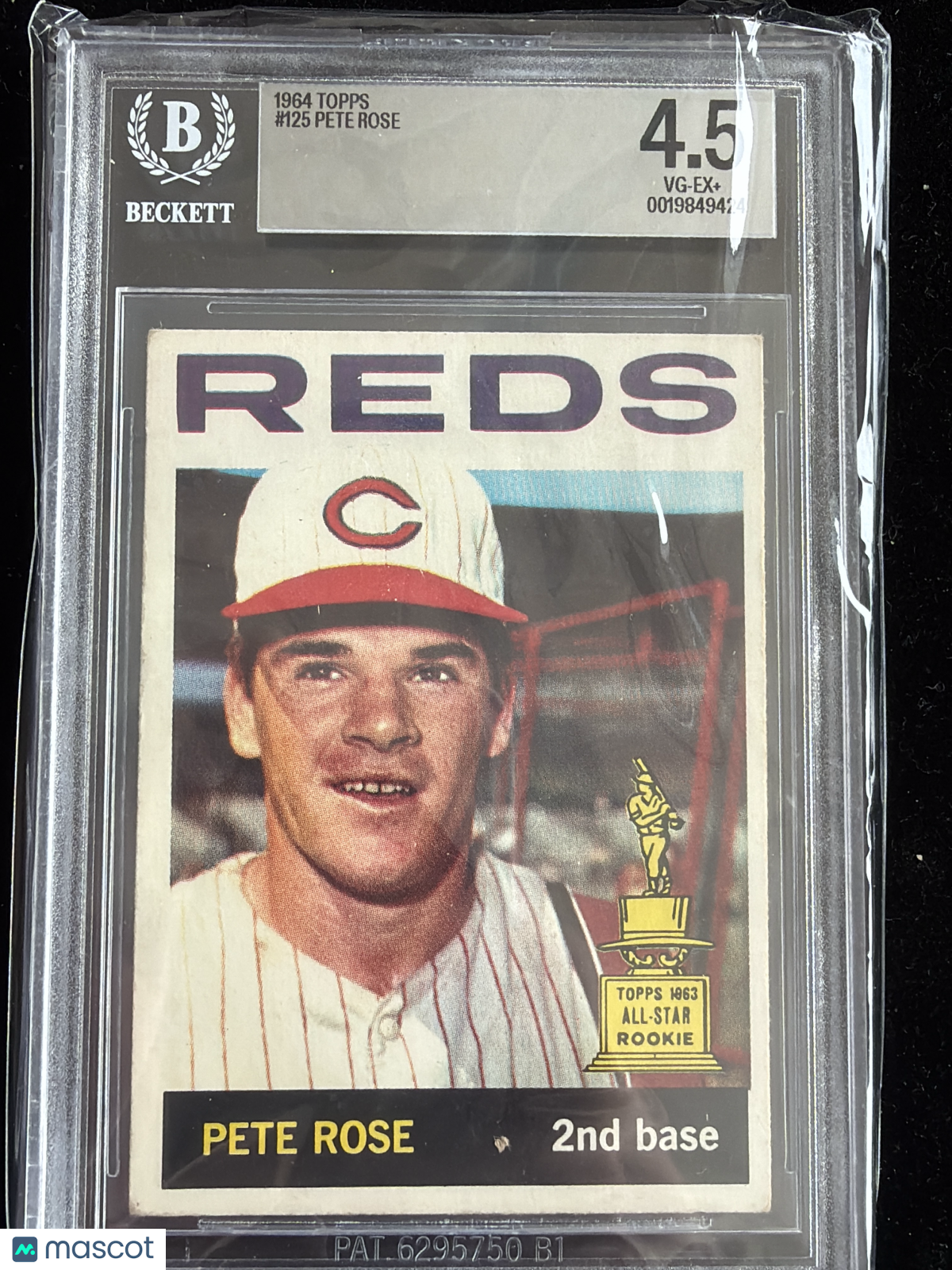 1964 Topps Pete Rose UER Born in 1942 #125 /Born BVG 4.5